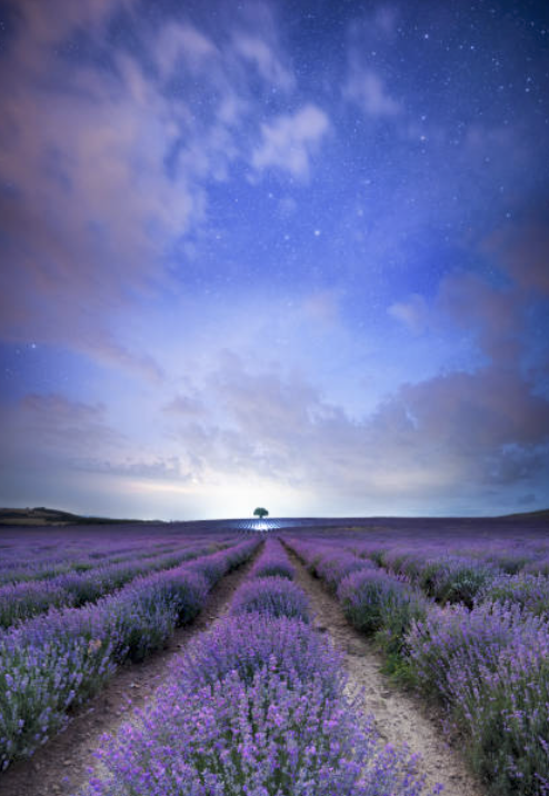 istockphoto-1144789864-2048×2048